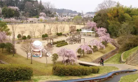 台山公園の1枚目画像