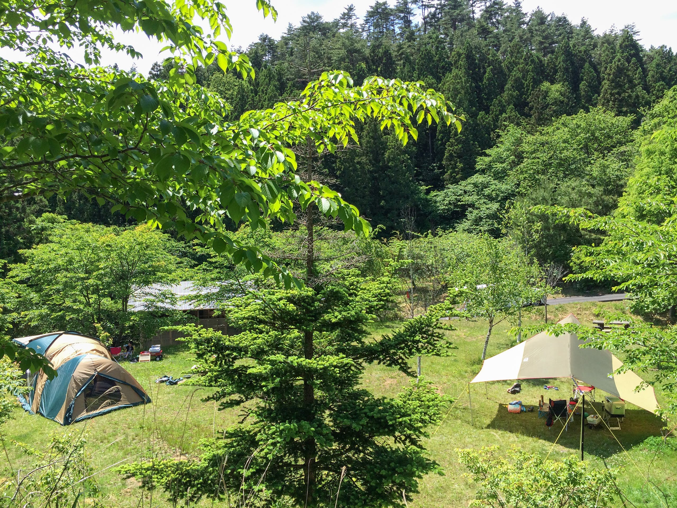 キャンピングビレッジ登米森林公園の1枚目画像
