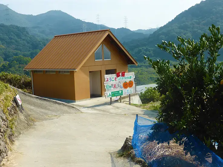 上の太子観光みかん園の1枚目画像