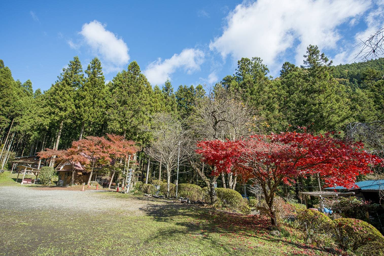 神戸園キャンプ場の1枚目画像