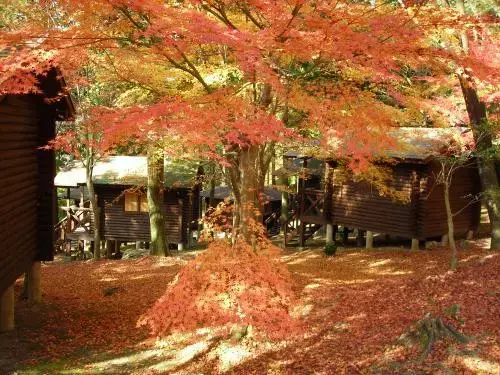 一本松公園(昭和の森)の1枚目画像