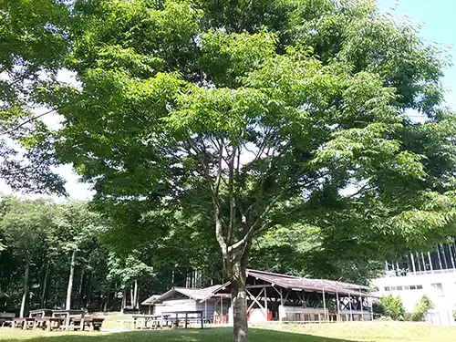 千葉県立君津亀山少年自然の家の1枚目画像