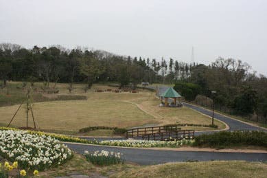 縄地ケ鼻公園の1枚目画像