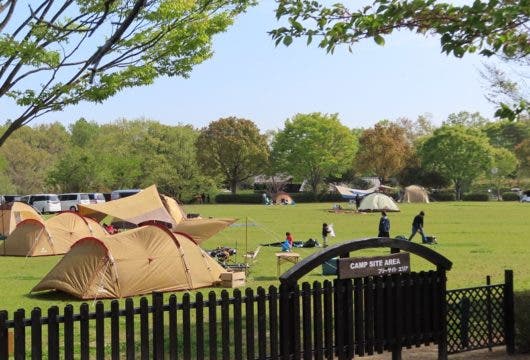 大分農業文化公園の1枚目画像