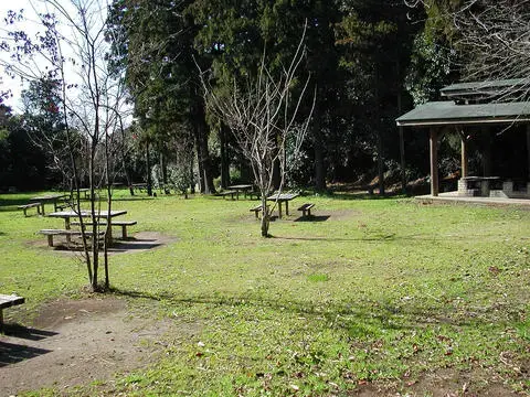 大房岬キャンプ場の1枚目画像