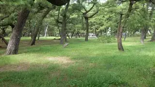 種崎千松公園キャンプ場の1枚目画像