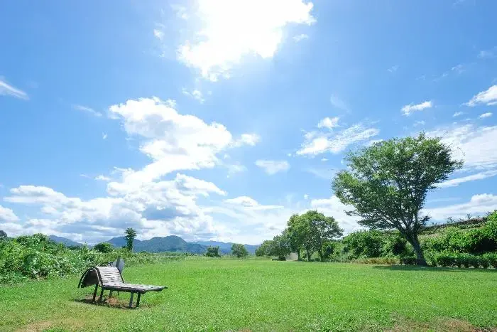 花の里河川公園キャンプ場の1枚目画像