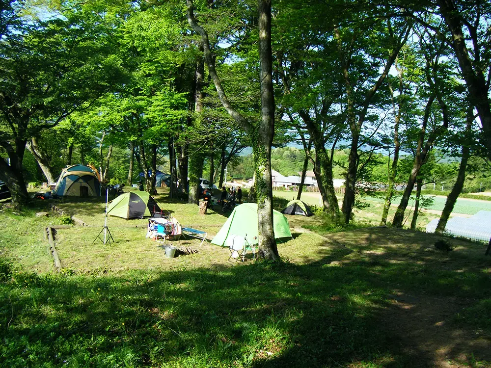 忌部自然休養村キャンプ場の1枚目画像