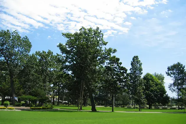 芽室公園の1枚目画像