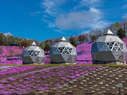東藻琴芝桜公園キャンプ場の1枚目画像