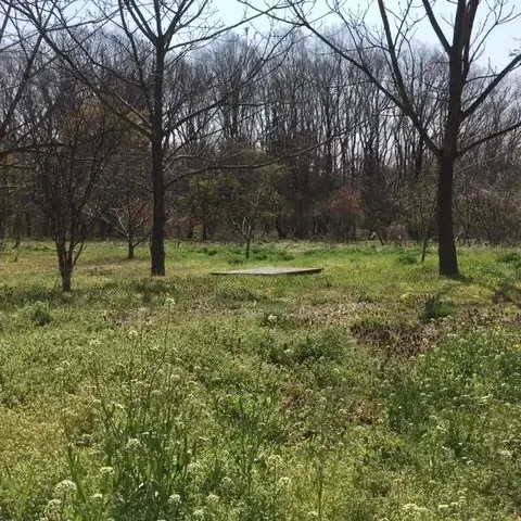 大人のキャンプ場 笑うふくろうの1枚目画像