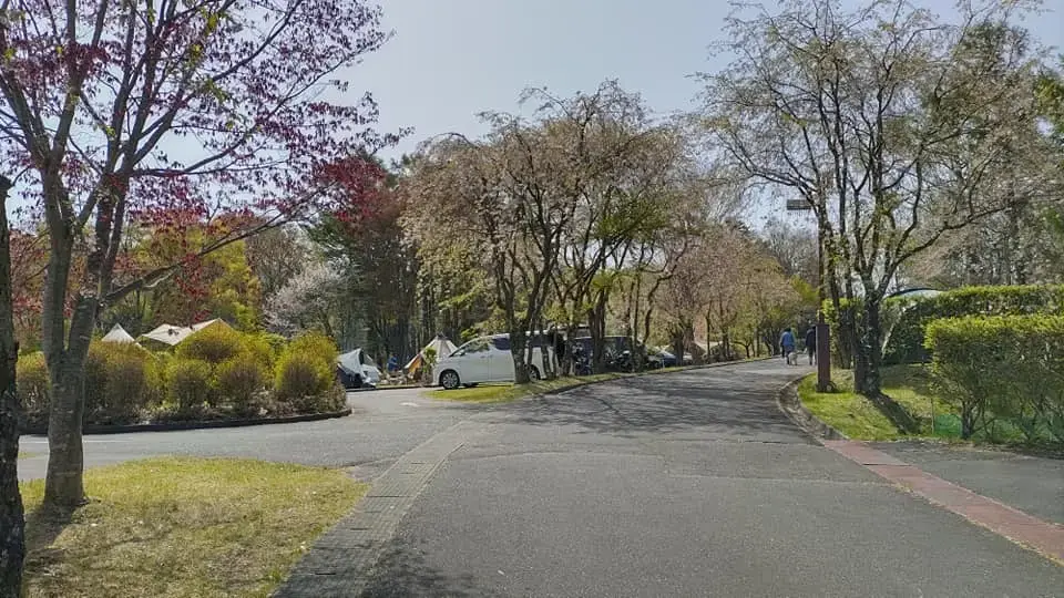 松本市美鈴湖もりの国オートキャンプ場の1枚目画像