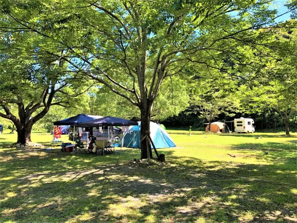向平キャンプ村の1枚目画像