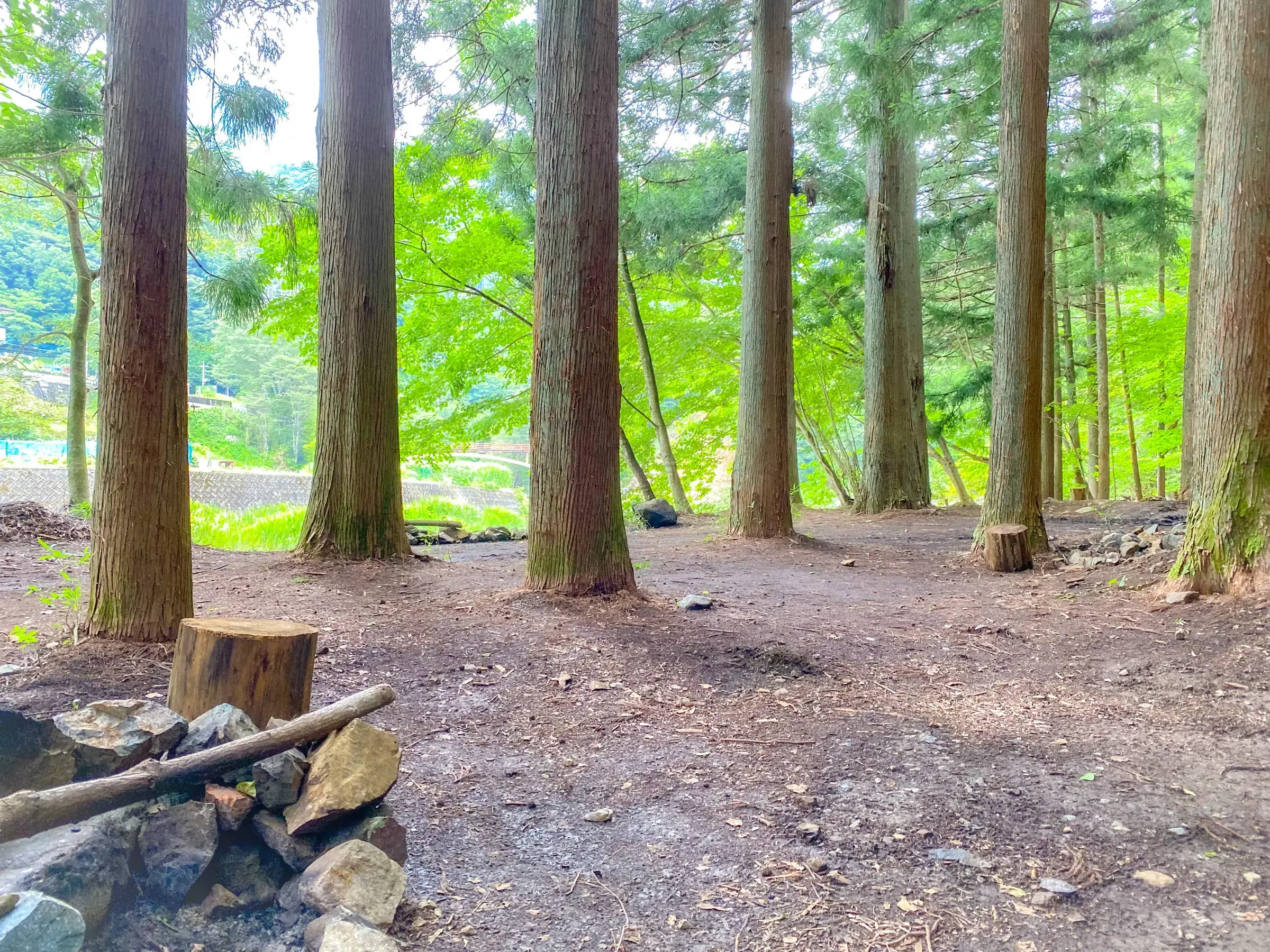 WOODSMAN CAMPGROUND