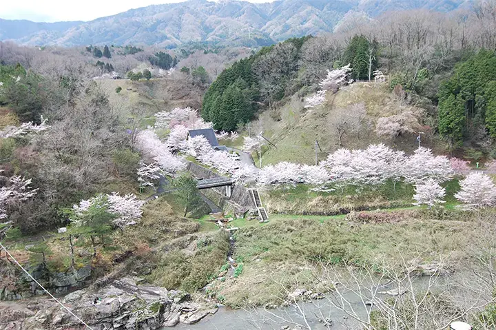 岩倉峡公園キャンプ場の1枚目画像