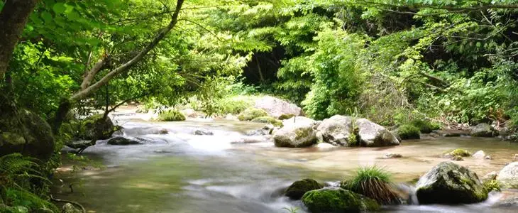 二股川キャンプ場の1枚目画像