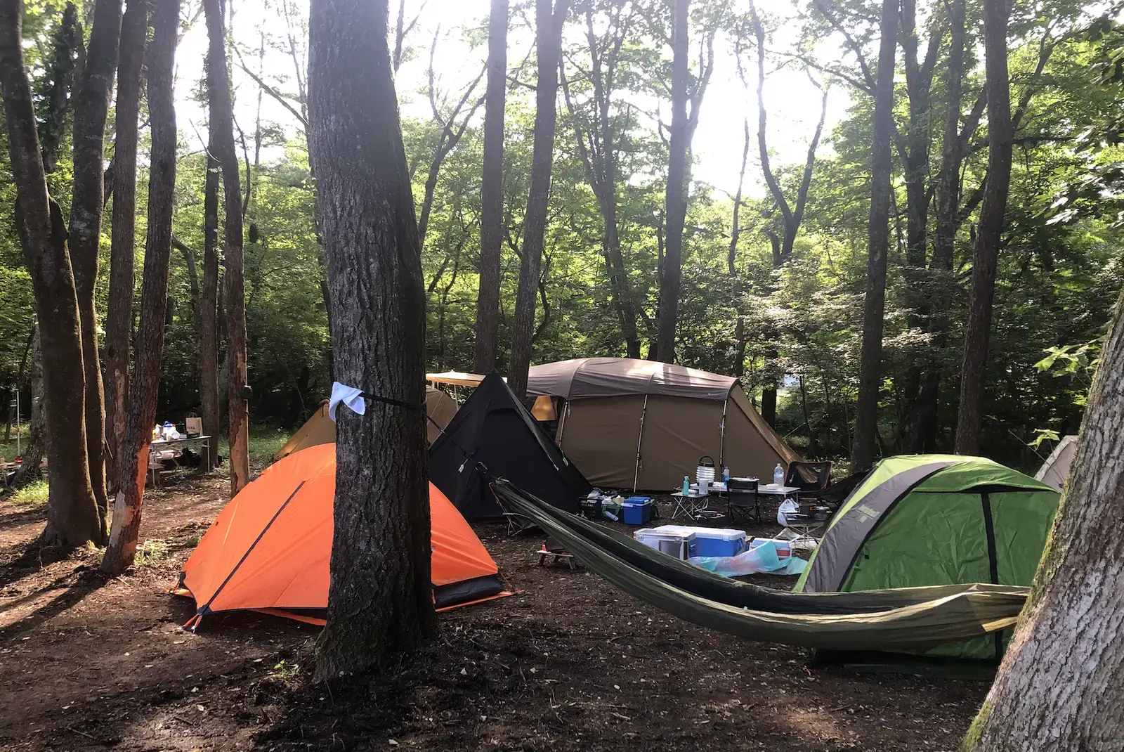 山中湖ふじのもりオートキャンプ場の2枚目画像
