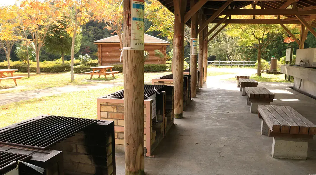 大亀山森林公園の2枚目画像
