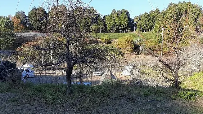 ロマントピア月ヶ瀬の2枚目画像