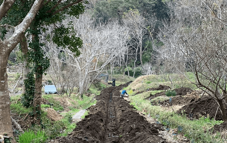 たてやま倶楽部の2枚目画像