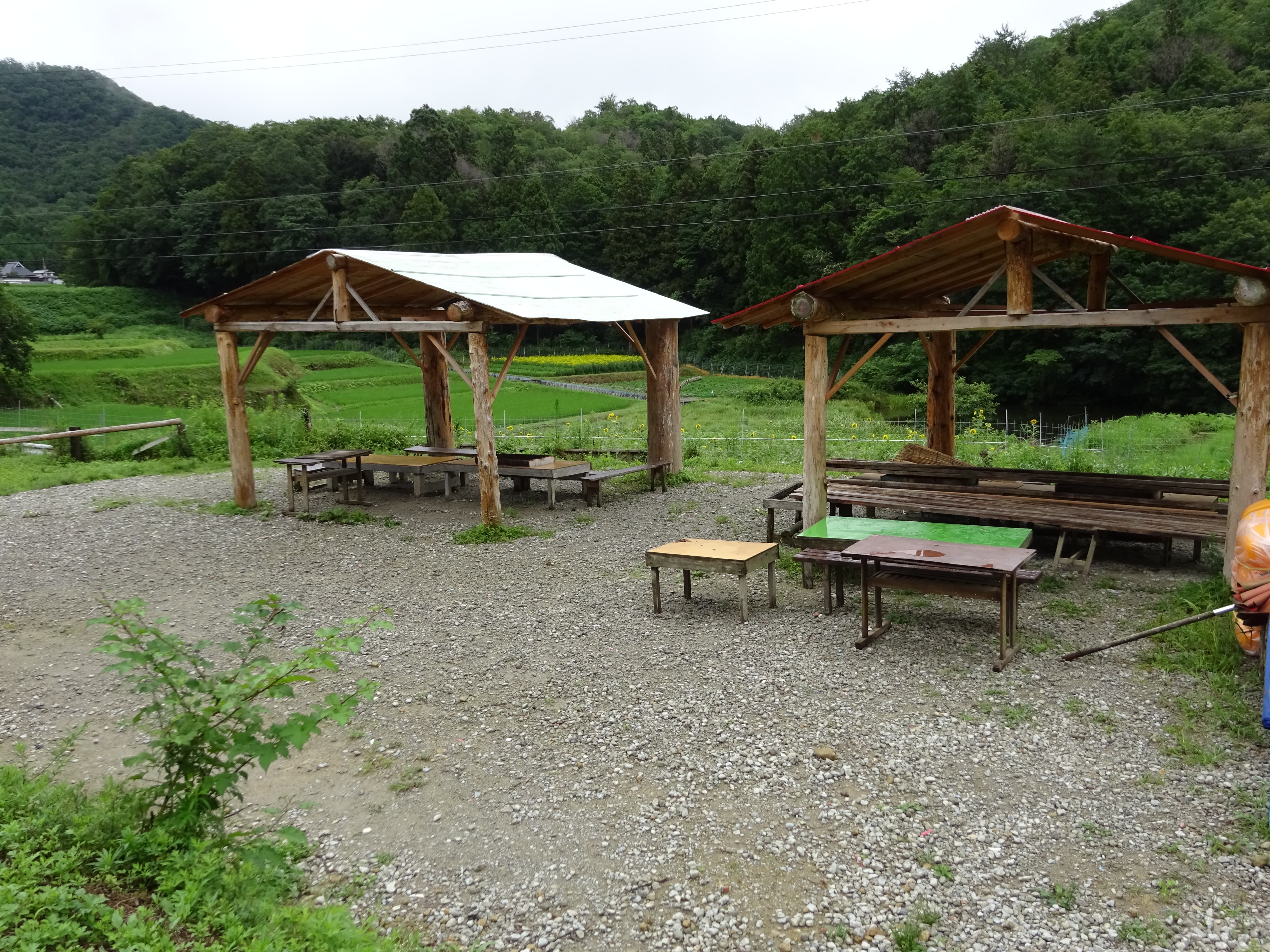 宝塚ダッシュ村の2枚目画像