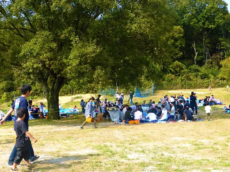 上の太子観光みかん園の2枚目画像