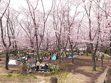 こども自然公園バーベキュー広場の2枚目画像