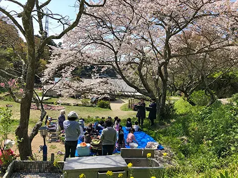 花はなの里の2枚目画像