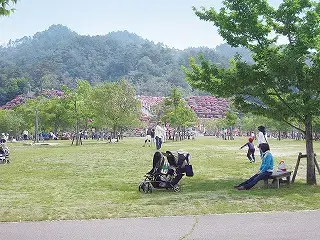 ひろしま遊学の森 広島市森林公園の2枚目画像