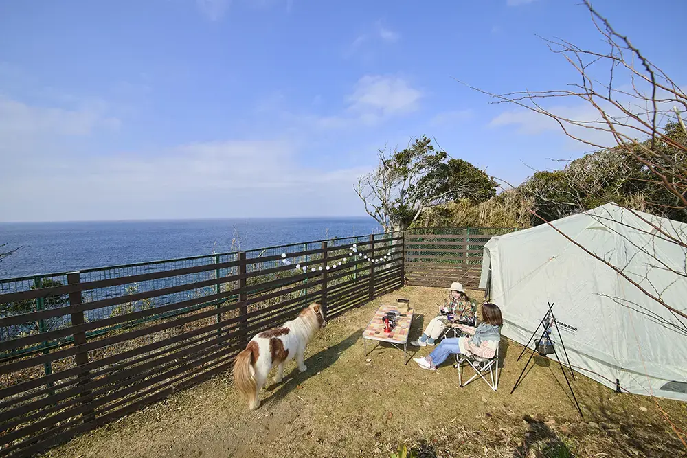京急油壺温泉キャンプパークの2枚目画像