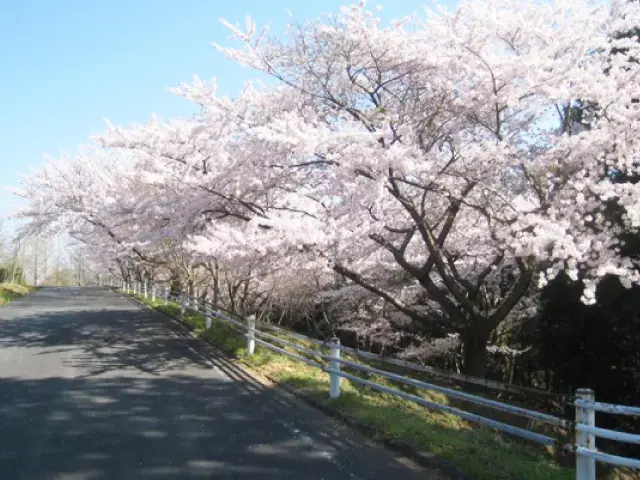 ごんぜの里の2枚目画像