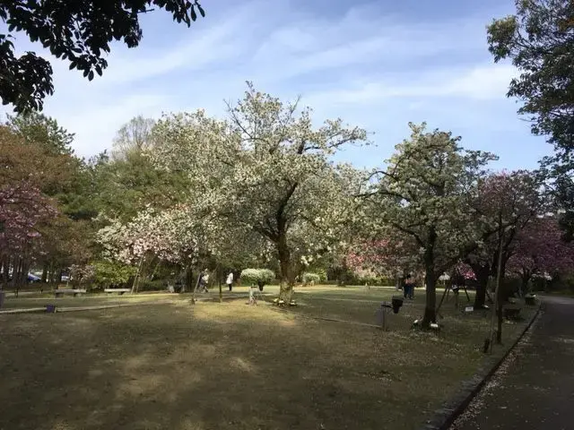 福井県総合グリーンセンターの2枚目画像