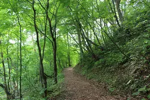 平塚・花巻交流の森の2枚目画像