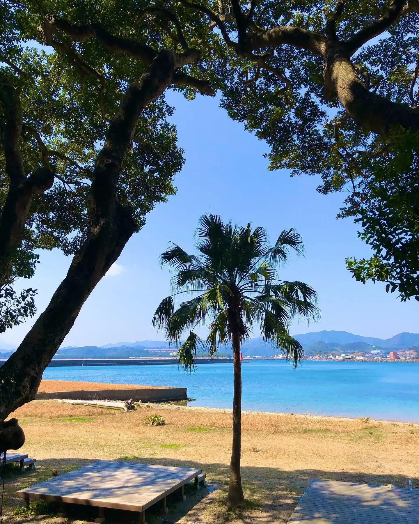 無人島「乙島」キャンプ場の2枚目画像