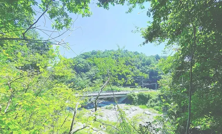 木もれびPONDキャンプ場の2枚目画像