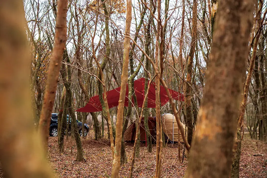 朝霧高原 英知の杜キャンプ場の2枚目画像