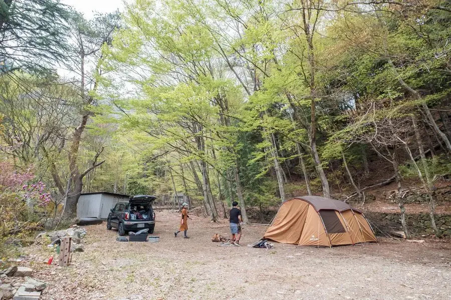 Back Yard Campの2枚目画像