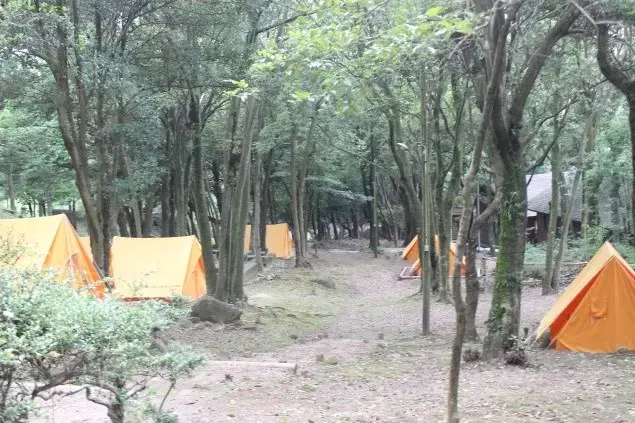 金立教育キャンプ場の2枚目画像