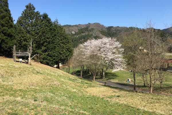 高仙の里よの「なつつばき」の2枚目画像