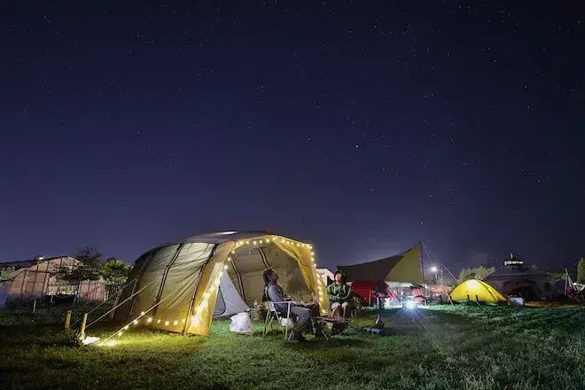 Sheep sheep camping fieldの2枚目画像