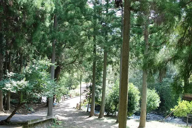 河津七滝オートキャンプ場の2枚目画像