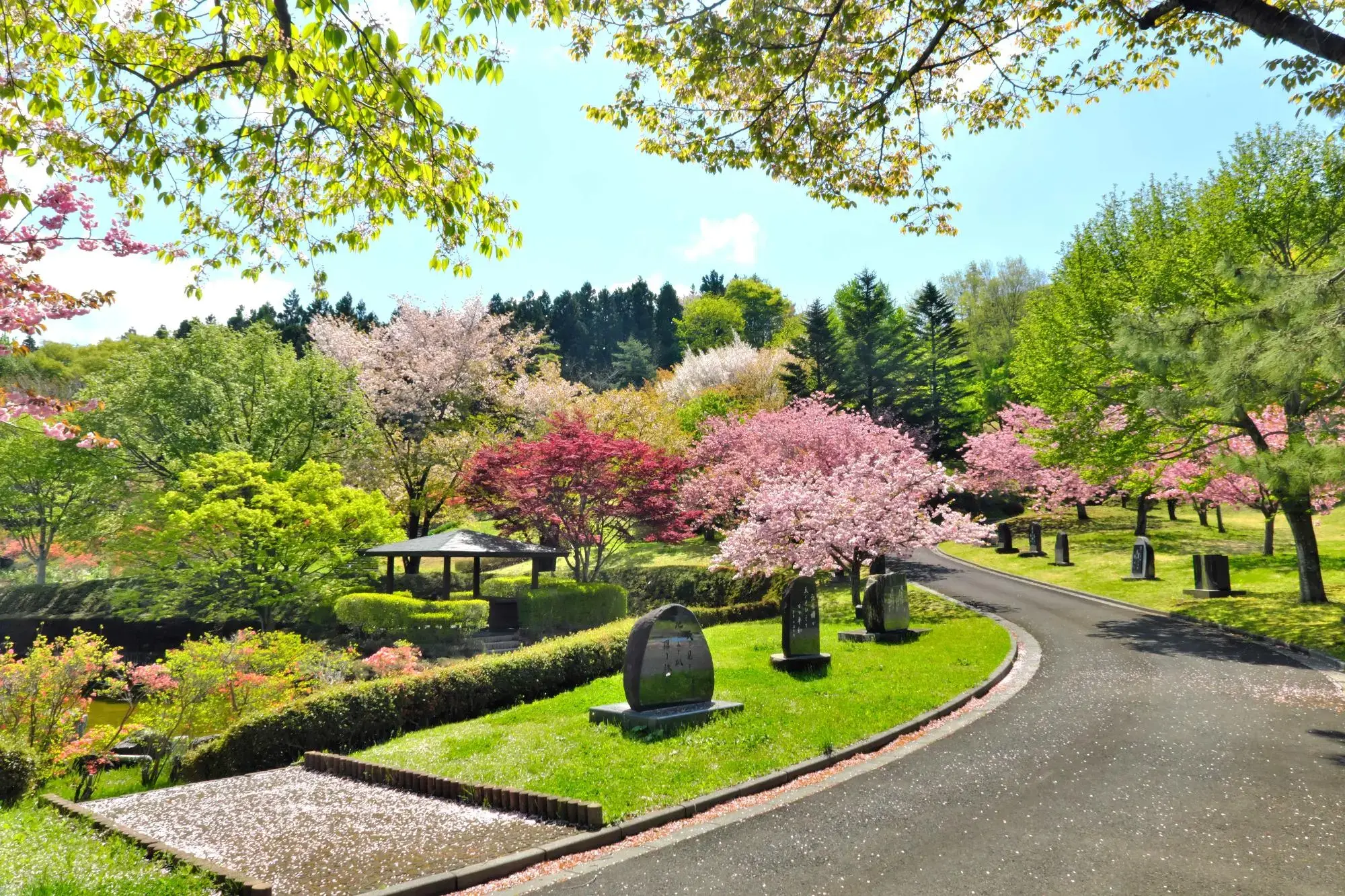 八戸公園バーベキューサイトの2枚目画像