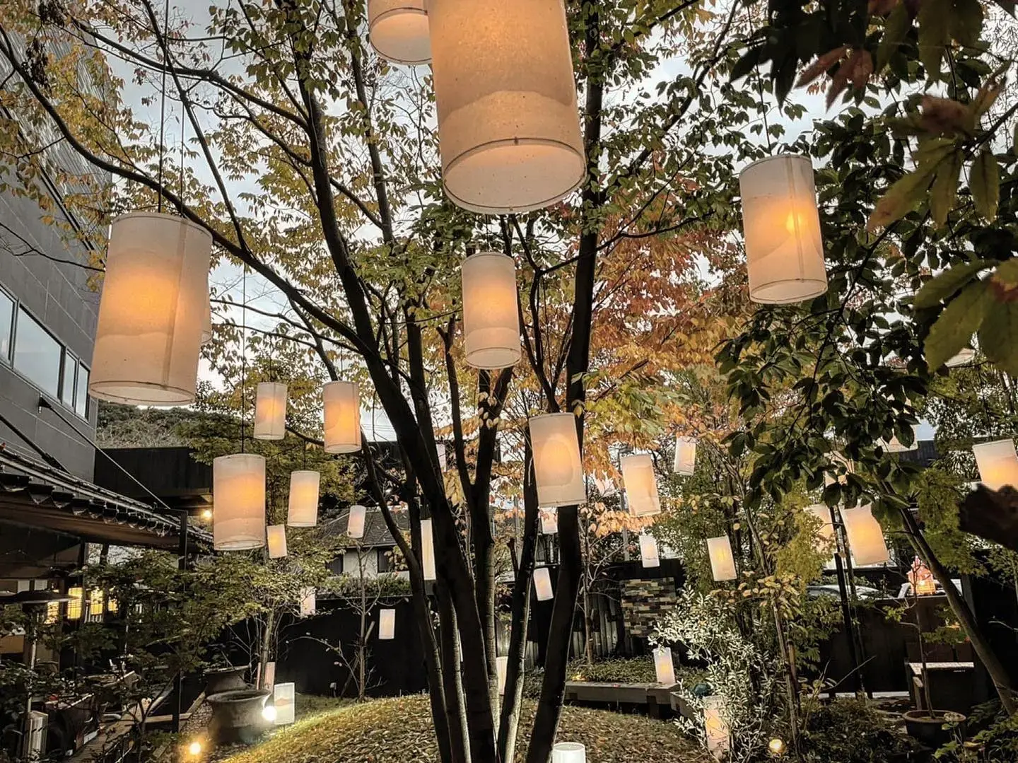 東道後のそらともりの2枚目画像
