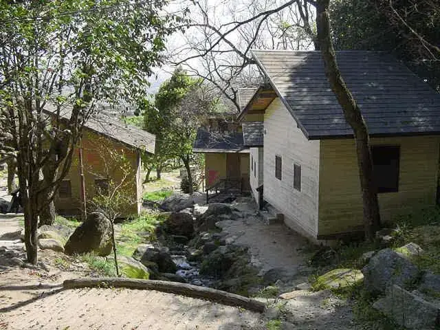 金立山いこいの広場の2枚目画像