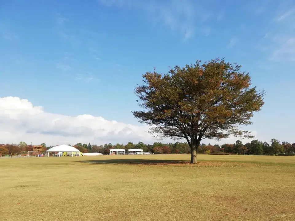 国営越後丘陵公園 野外炊飯広場の2枚目画像