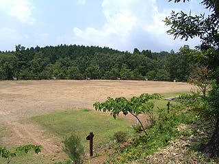 奥別府かいがけ温泉　きのこの里の2枚目画像