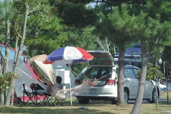休暇村指宿エコキャンプ場の2枚目画像