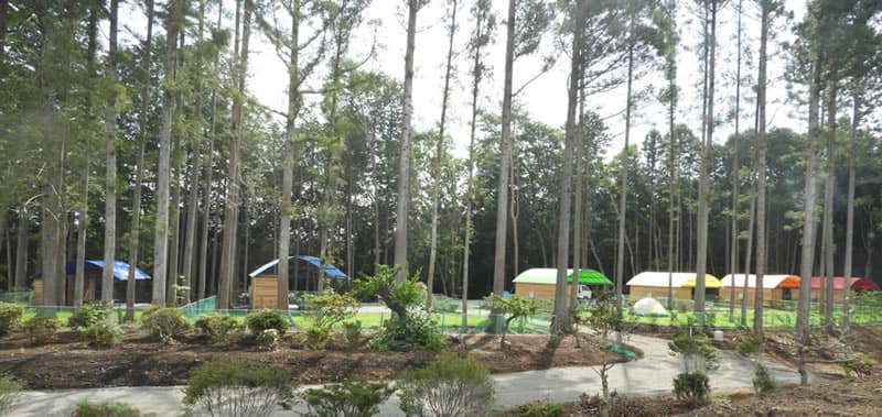 那須成功山オートキャンプ場の2枚目画像
