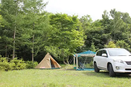 北軽井沢　どんぐり山の一番星　キャンプ場の2枚目画像