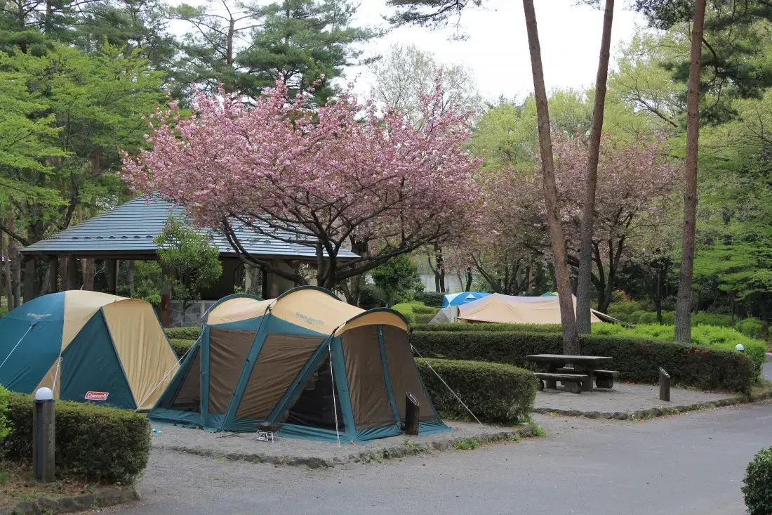 那須野が原公園オートキャンプ場の2枚目画像
